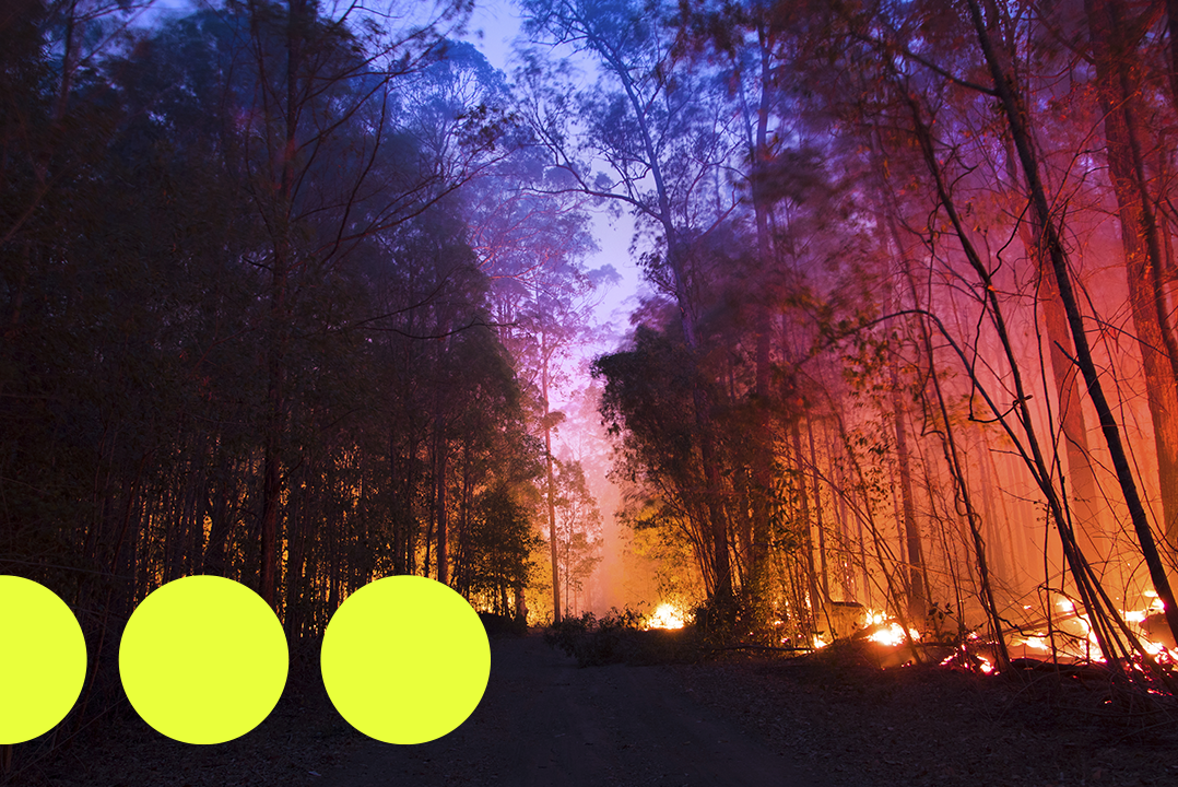 Australian Bush Fire